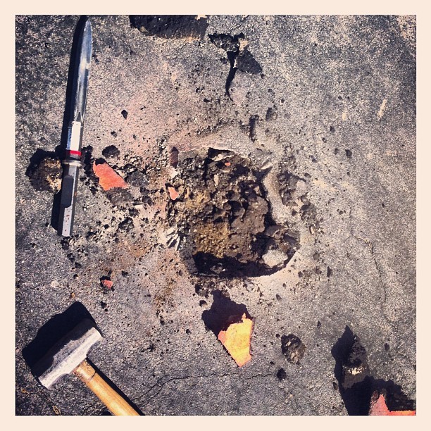 229042204826183250_13468880