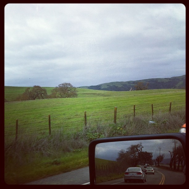 394586645661001049_13468880